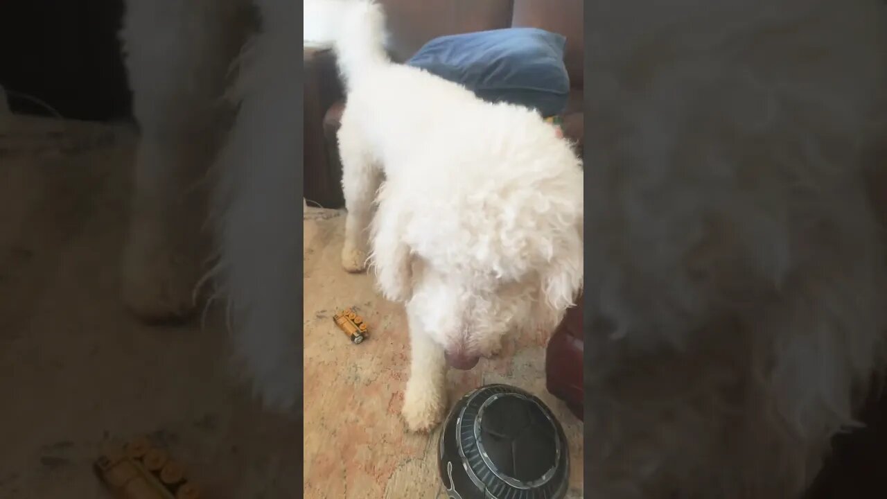 Wait For It | Part 3