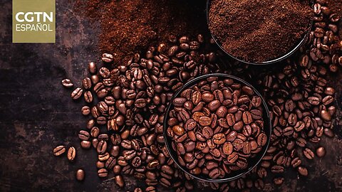 Venezuela se esfuerza por aumentar su producción y exportación de café