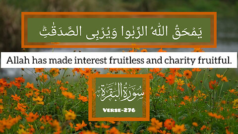 Surah Al Baqarah,Verse-276💕