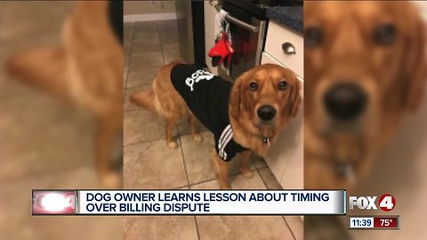 Cape Coral pet billing issues