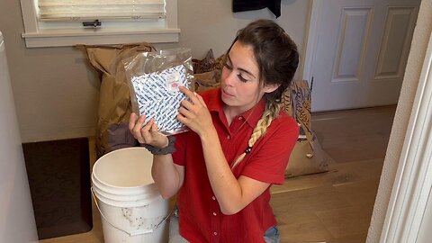 Mylar Bags For Long Term Food Storage