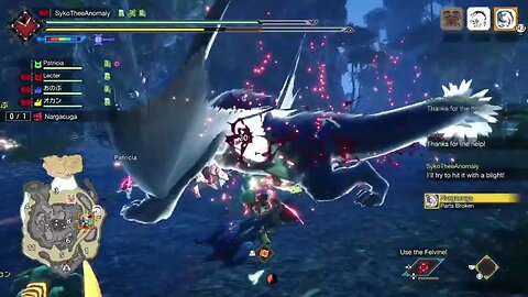 Thee anomaly vs nargacuga