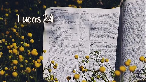 Lucas 24 {novo testamento}