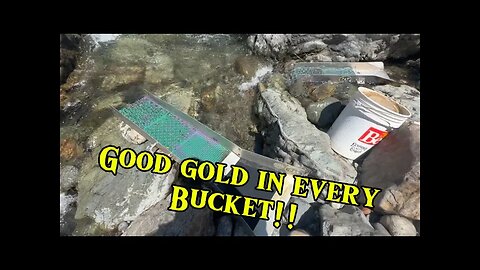 I got My Friend on GOOD GOLD!!