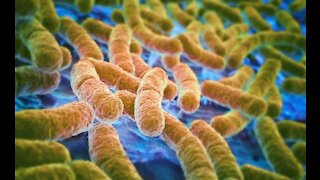 The Incredibly Dangerous Power of Bacteria to Resist Antibiotics