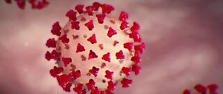 First death linked to COVID-19 in Las Vegas