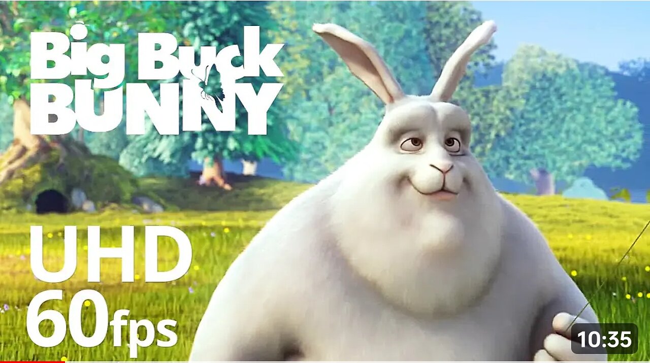 Big buck bunny 4k ultra hd video