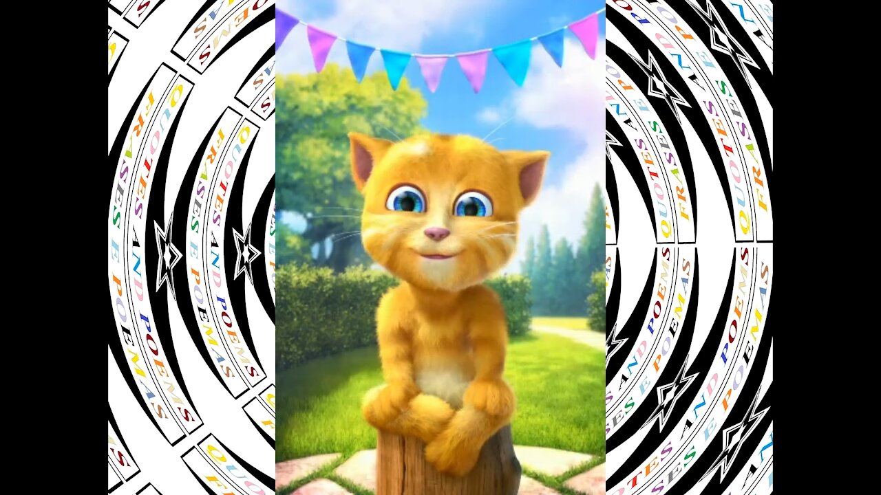 Bom dia, eu não quero namorar com você, não tenho interesse! [Mensagem] [Frases e Poemas]