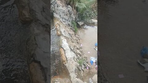 Weird Place in Alexandria Waterfalls Garden