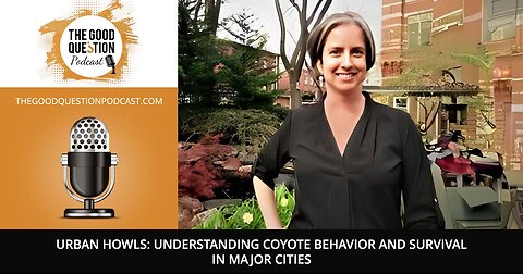 🐺 Urban Howls: Understanding Coyote Behavior and Survival in Major Cities!