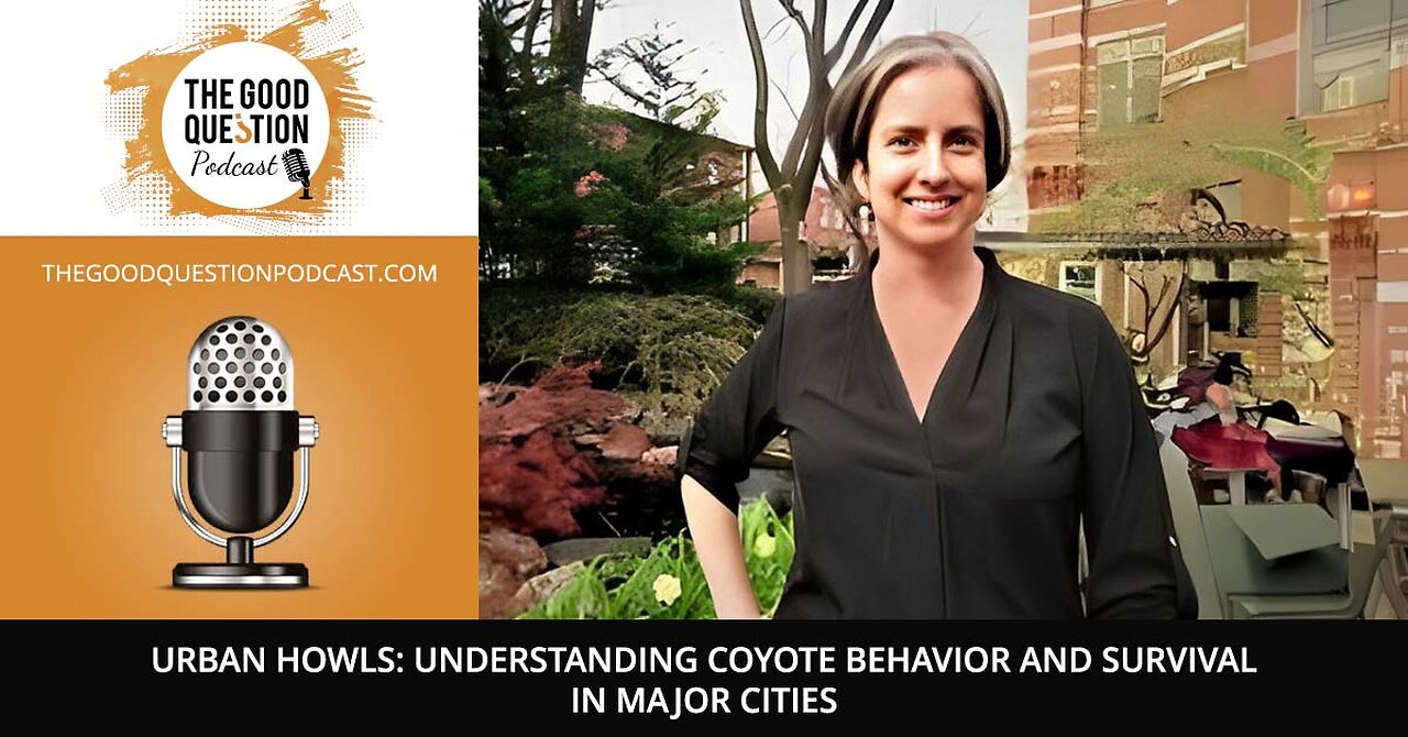 🐺 Urban Howls: Understanding Coyote Behavior and Survival in Major Cities!