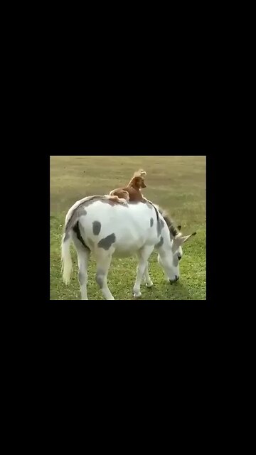 Convenient place to relax.