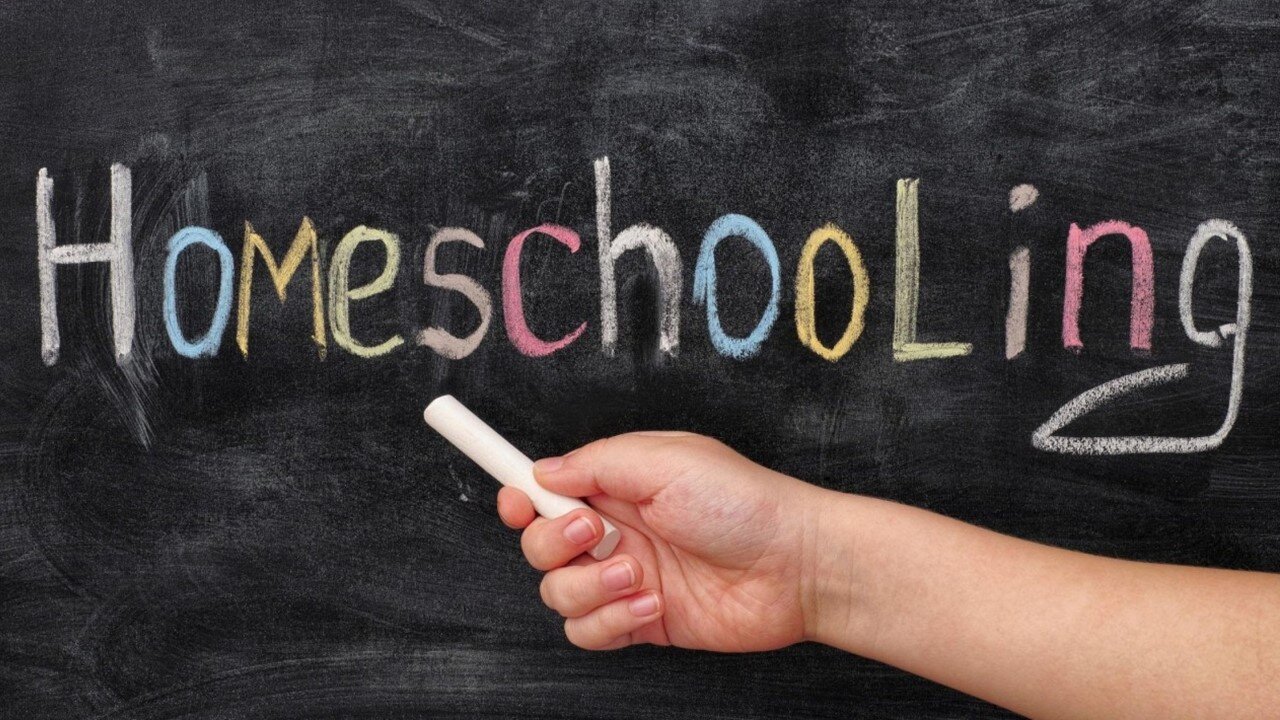 I Want to Homeschool But We Both Have to Work... What Can We Do?