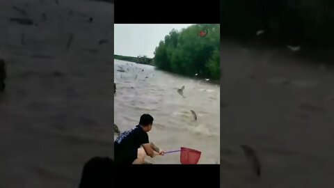 AMAZING FISHING - UNIQUE FISHING - EASIEST WAY OF FISHING