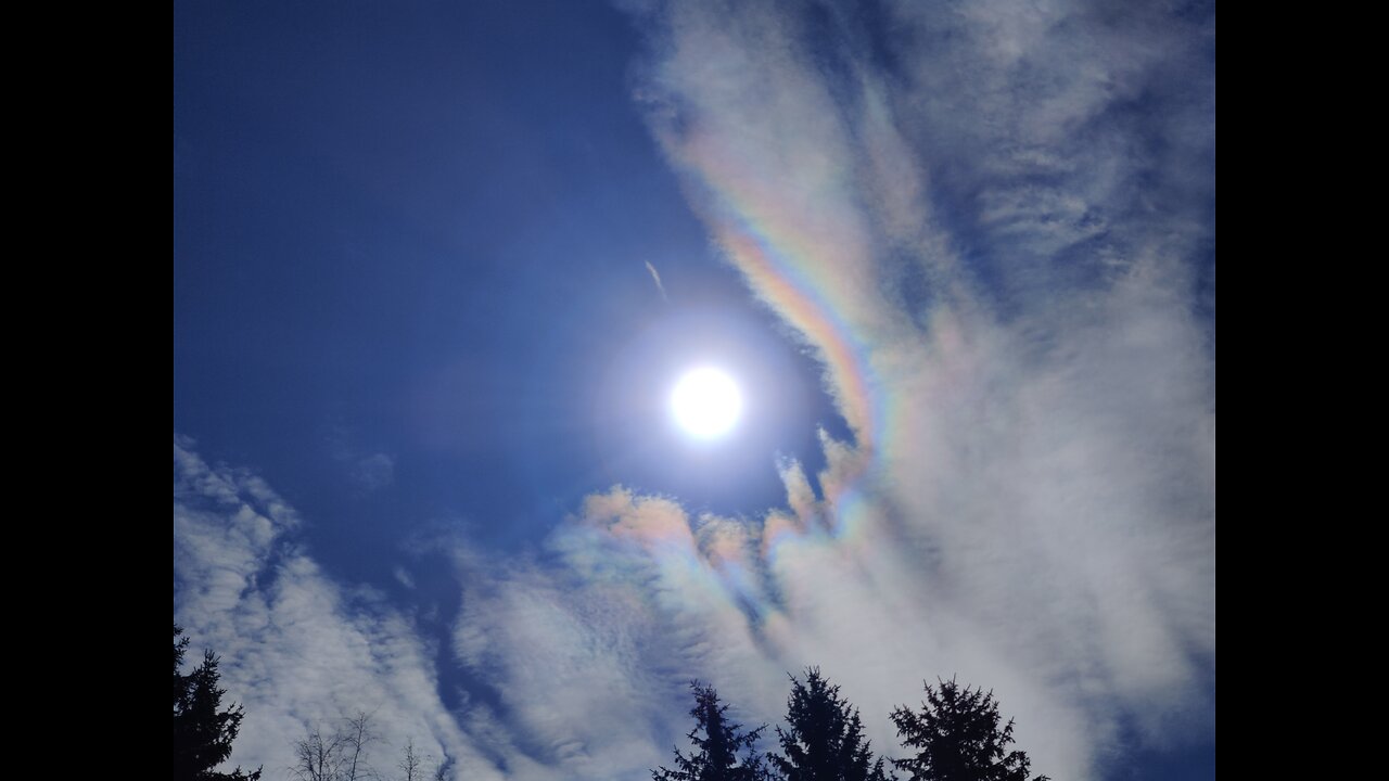 9.5, 11.5 - 12.5.2024: White trails. weird clouds, sun halo, halo color.