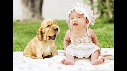 cute baby with puppy | cute baby with dog | dog | baby | puppy