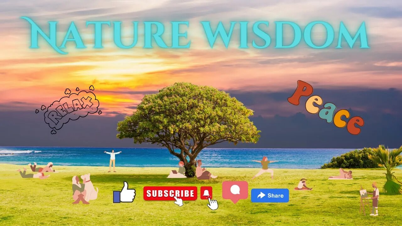 4h of wonderful nature wisdom and peace, will you join me #relax #focus #music #nature