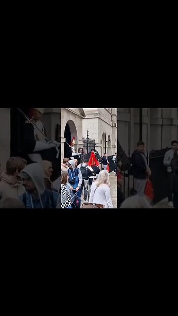 Make way #horseguardsparade