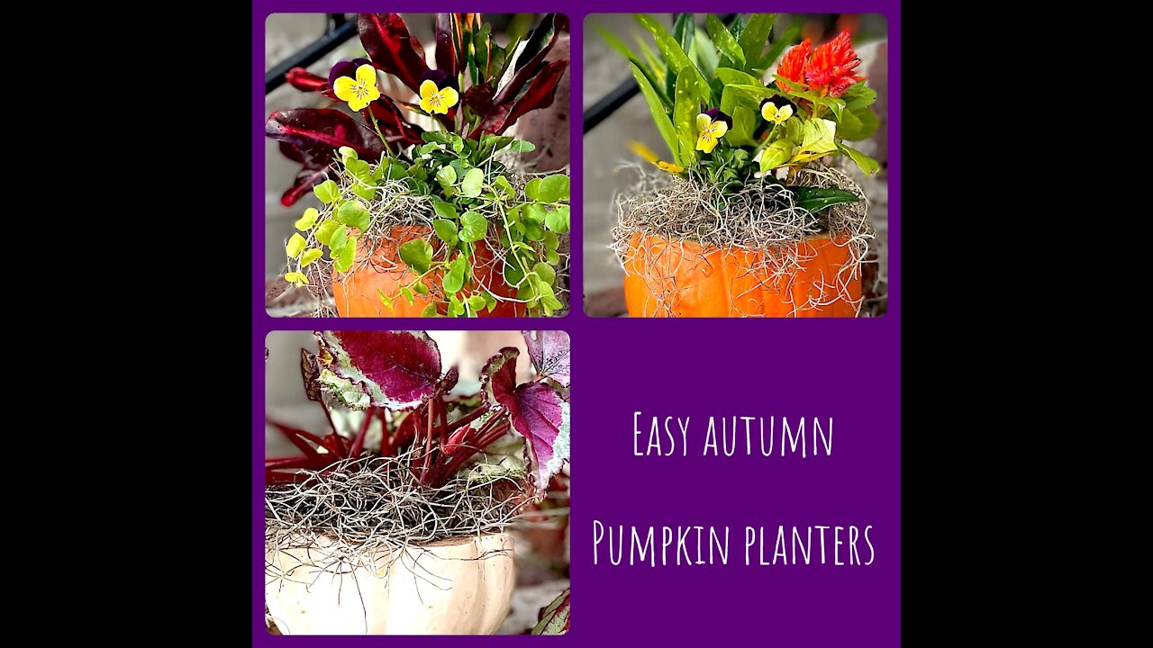 How to make cute pumpkin planters