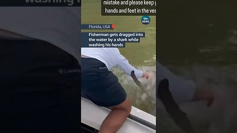 Don’t put your hands in the Everglades water FL #shorts