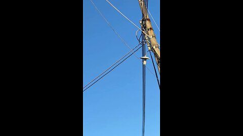可爱无需多言