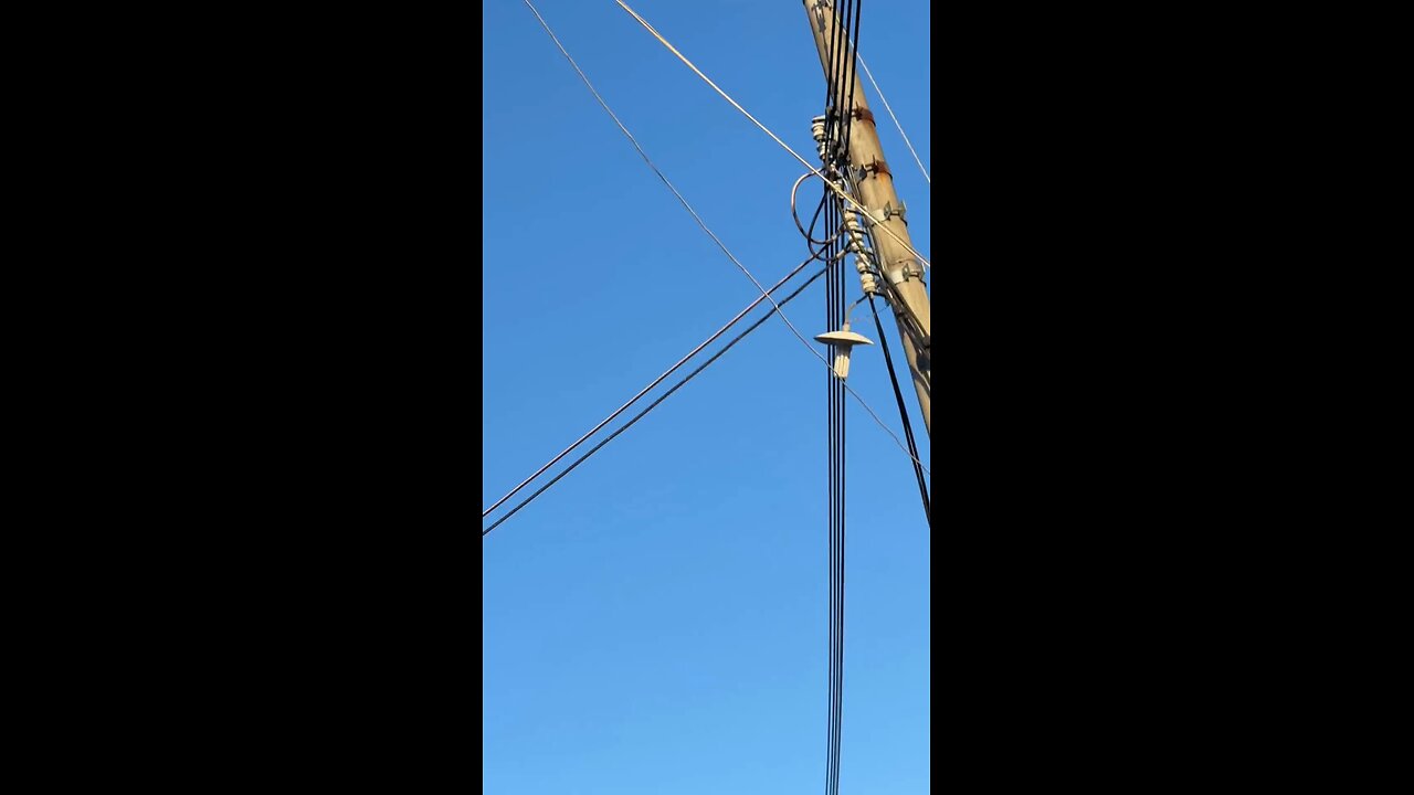 可爱无需多言