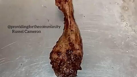 LAB "RAISED" CHICKEN LEG. YOU WOULD THINK AFTER COOKING IT WOULD BE DEAD. NOPE. HOLY CRAP.🐔😳