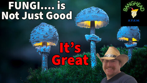 Fungus Is Vital To All Life, A BangHead Stem Special