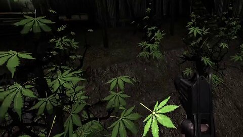 Best Places Ever... ever | KF1 n' Mumblin' About Stuff