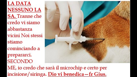 Microchip 666: tessera o incisione?