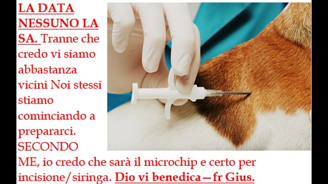 Microchip 666: tessera o incisione?