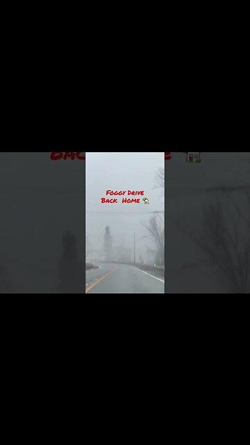 Foggy Drive Back Home #shorts