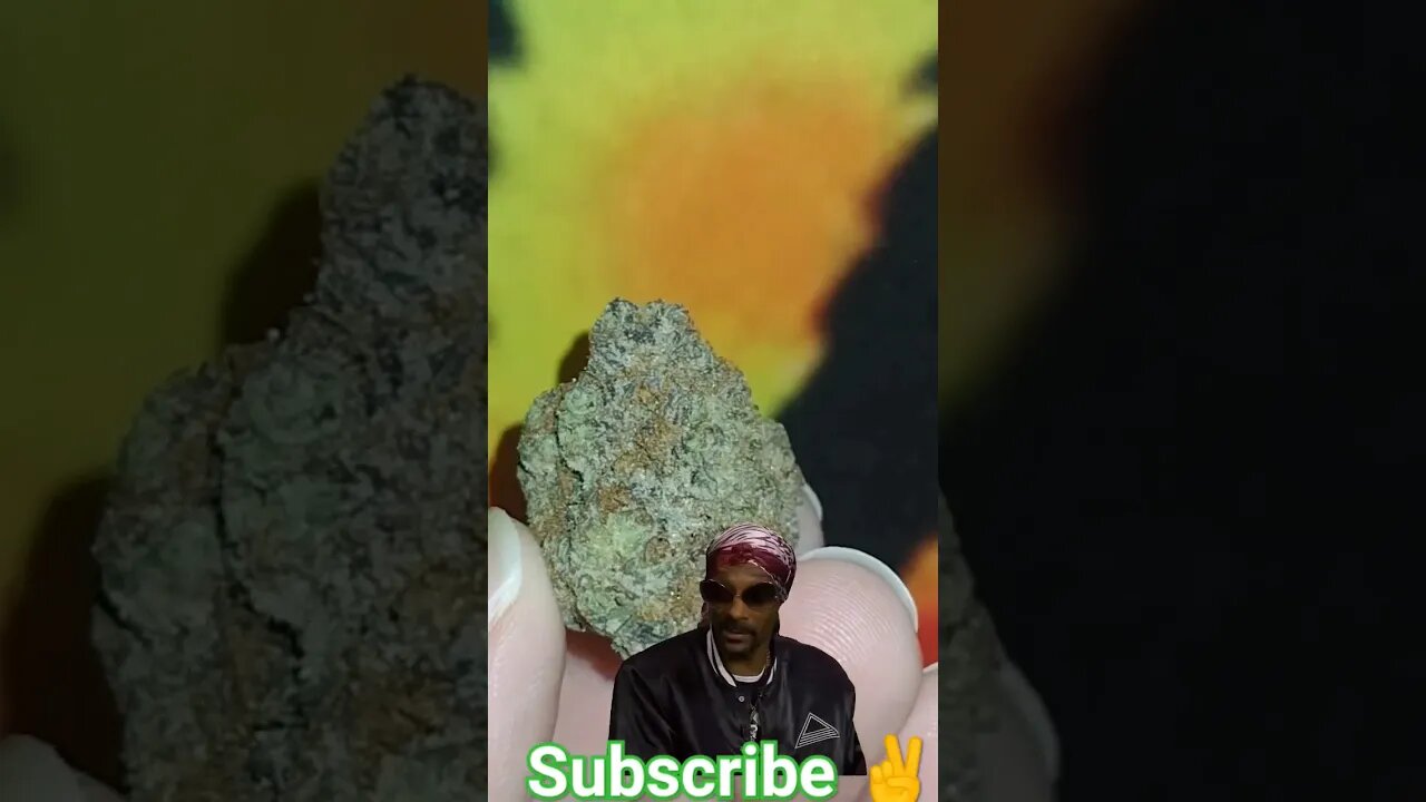 #subscribe #shorts #trending #viral #trendingshorts #subscribetomychannel #trendingshorts #snoop