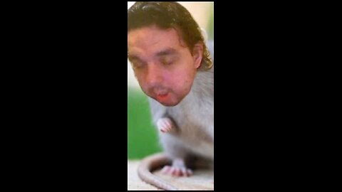 So, this is Skyler....