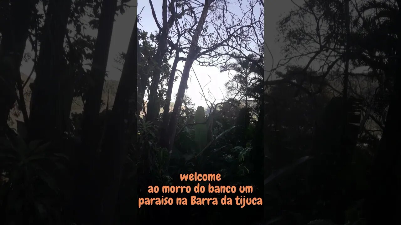 welcome ao morro do banco um paraiso na Barra da tijuca #shorts