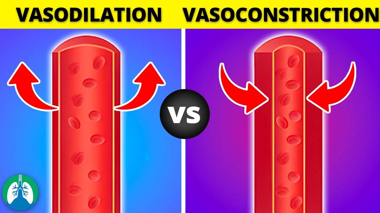 Vasoconstriction vs. Vasodilation *EXPLAINED*