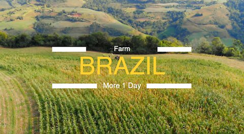 Farm in Brazil
