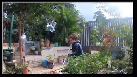 Garden JOBS papá e Sophia in Shitstralia before the covidhoax plandemic