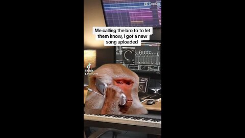 Hilarious meme video 😂