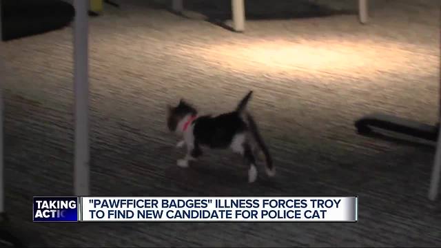 Pawfficer Badges, the Troy Police mascot, falls ill