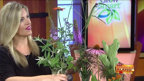 Attract Pollinators for a Productive Food Garden