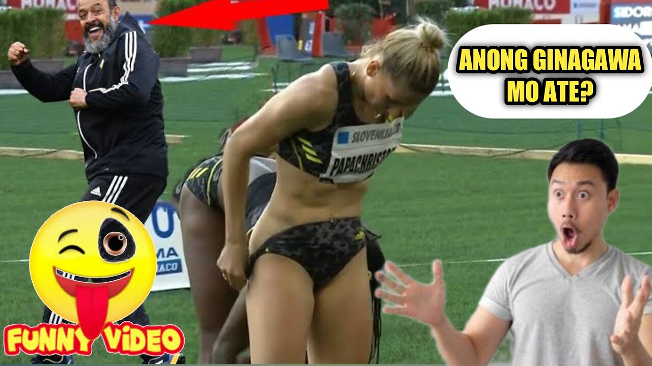 Funny Videos Compilation
