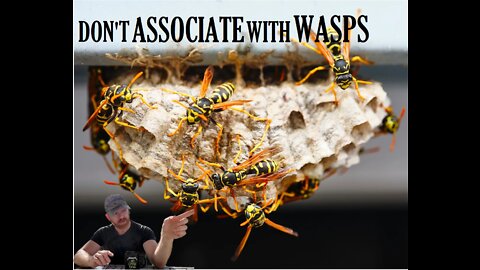Don't Associate with Wasps