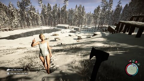 Sons Of The Forest 14