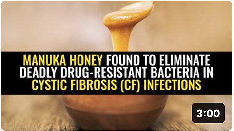 Manuka honey found to eliminate deadly drug-resistant bacteria in cystic fibrosis (CF) infections