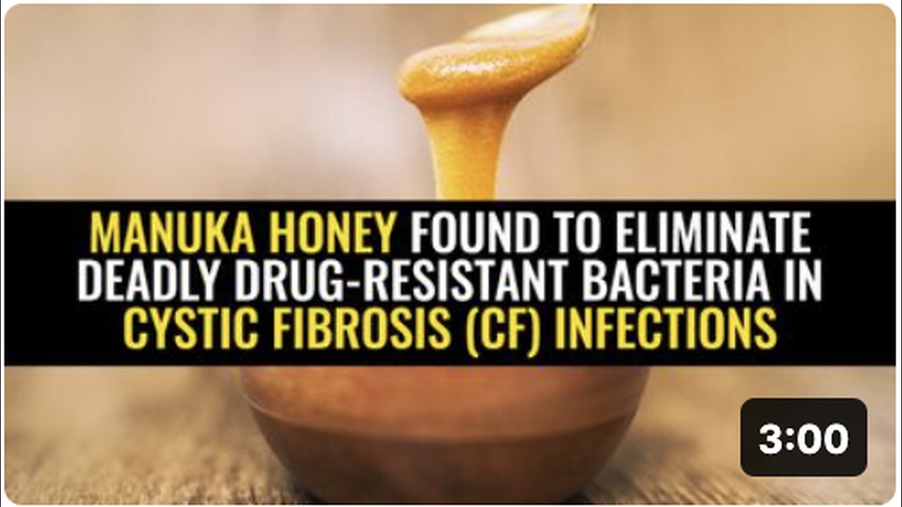 Manuka honey found to eliminate deadly drug-resistant bacteria in cystic fibrosis (CF) infections