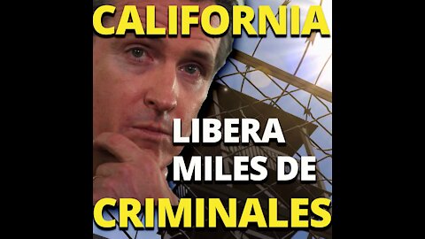 ¿Por qué es que los demócratas están a favor del crimen? / Newsom liberará miles de delincuentes