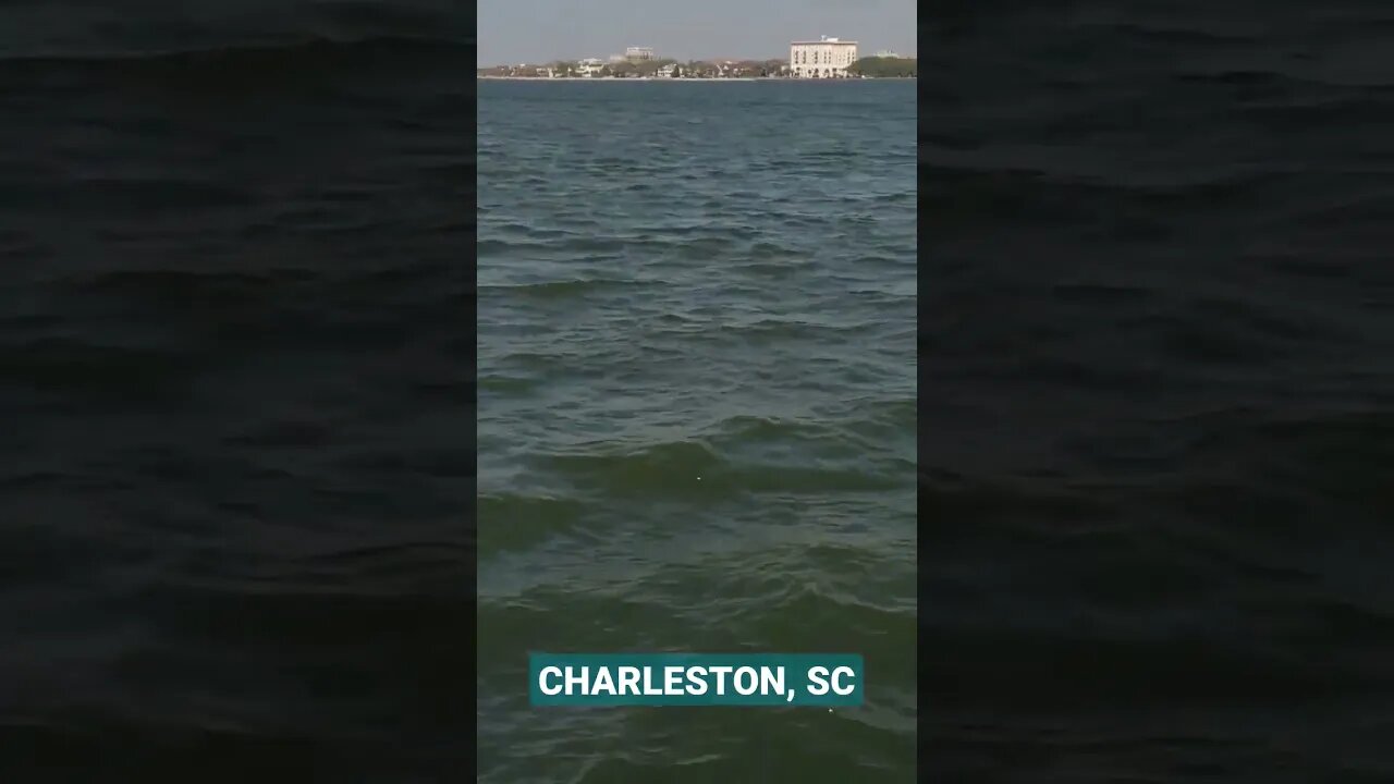 Charleston Harbor Morning Cruise