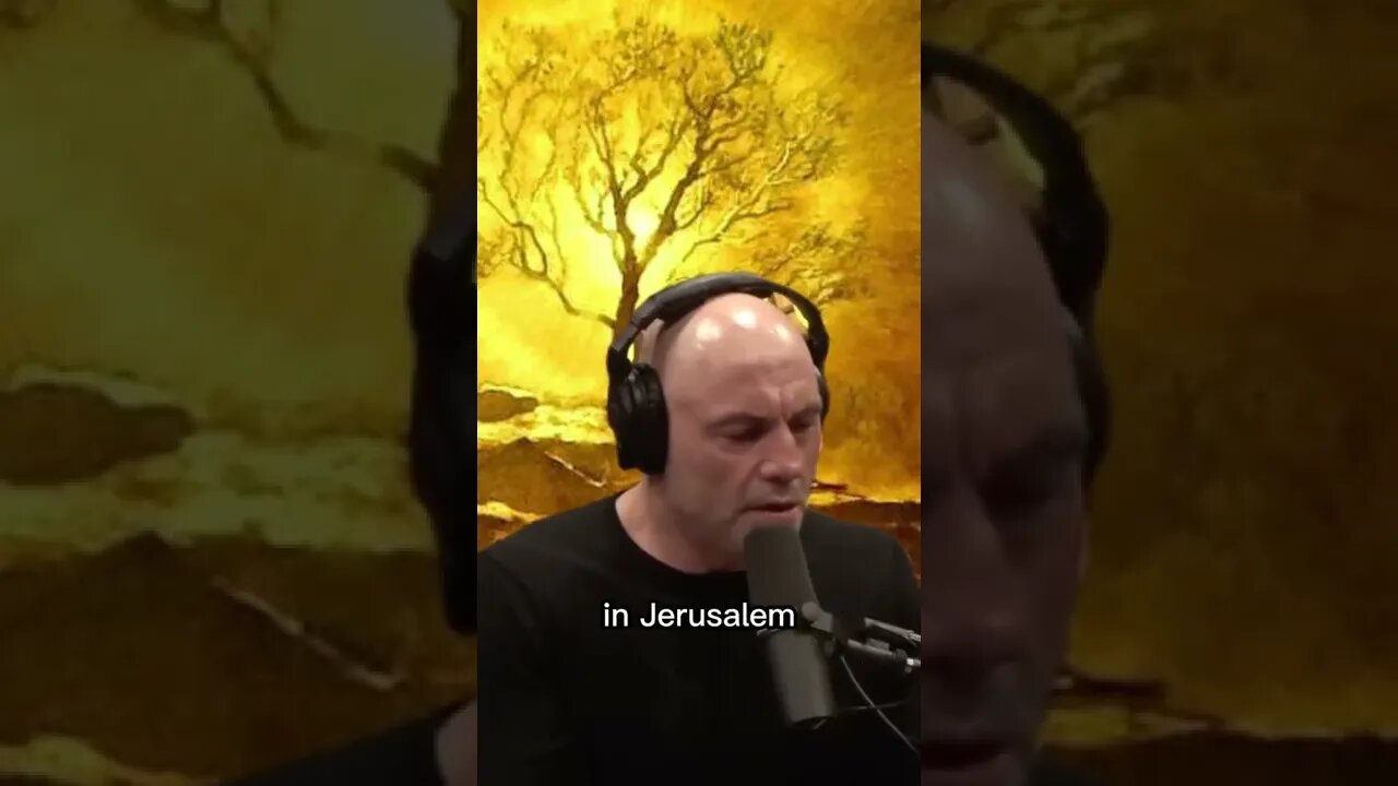 Psychedelic experience and religion - the burning bush - Joe Rogan & Jordan Peterson