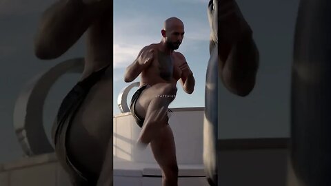 Tate's Journey